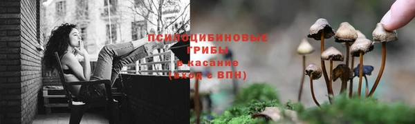 соль ск Аркадак