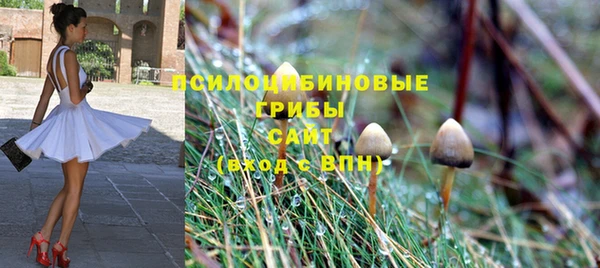 соль ск Аркадак
