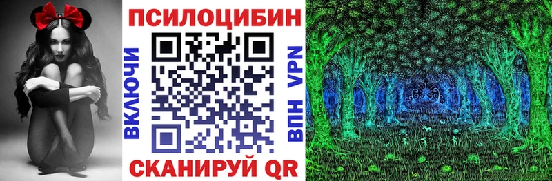 kraken зеркало  магазин    Оха  Галлюциногенные грибы Magic Shrooms 